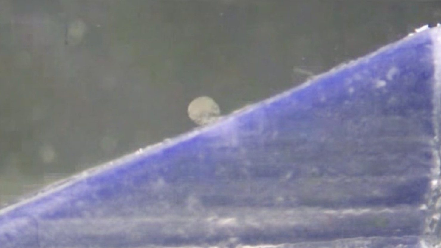 Powstał minirobot, który potrafi podróżować przez układ nerwowy. Ma dostarczać leki