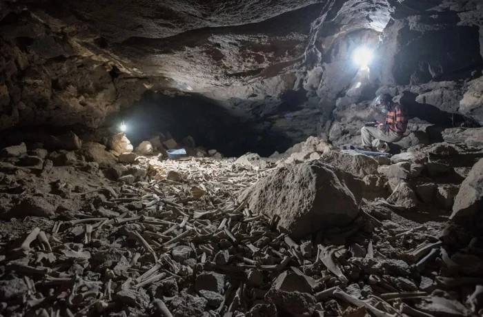 W arabskiej jaskini odkryto tajemnicze cmentarzysko. „Setki tysięcy kości ludzi i zwierząt”