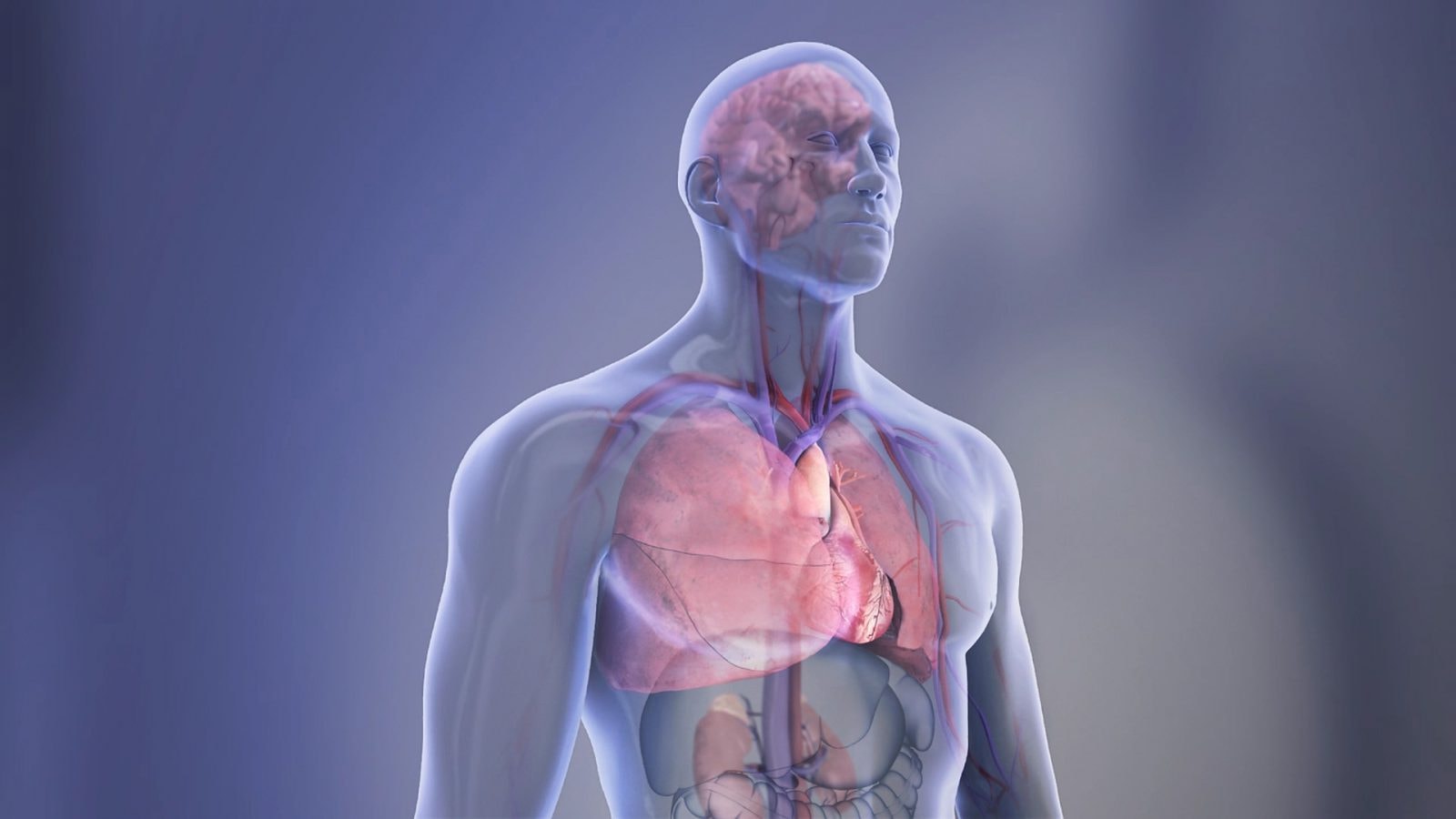 Bezobjawowe zmiany miażdżycowe wykryto u 40 proc. zdrowych dorosłych. Jak powinniśmy dbać o serce?