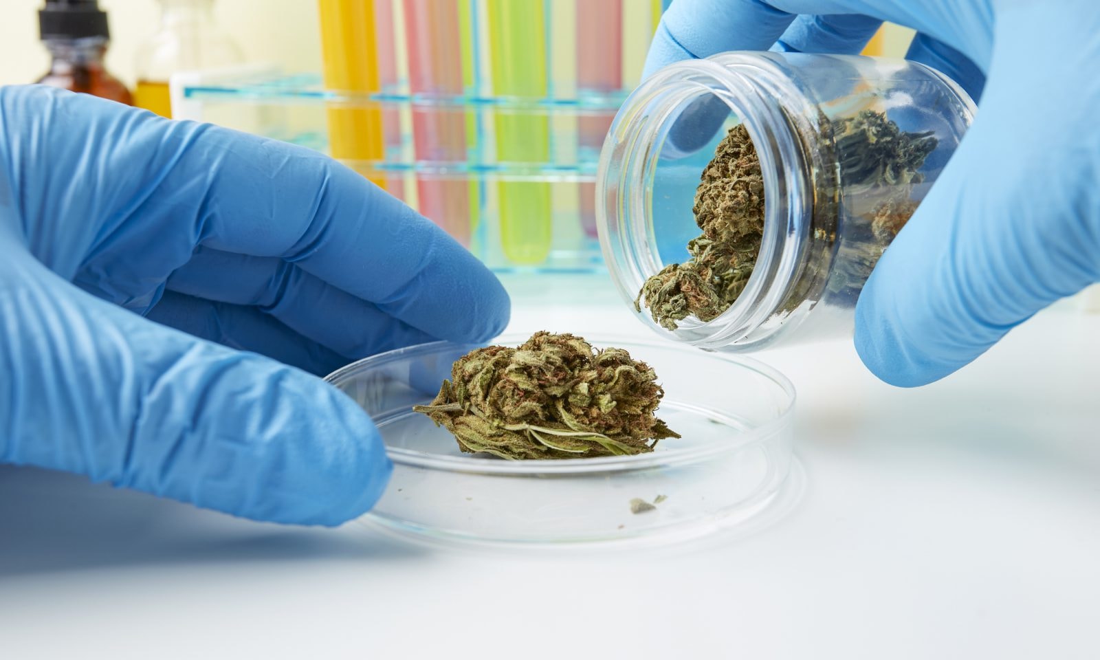 Rośnie liczba zatruć związkiem występującym w marihuanie. 40 procent pacjentów to… dzieci