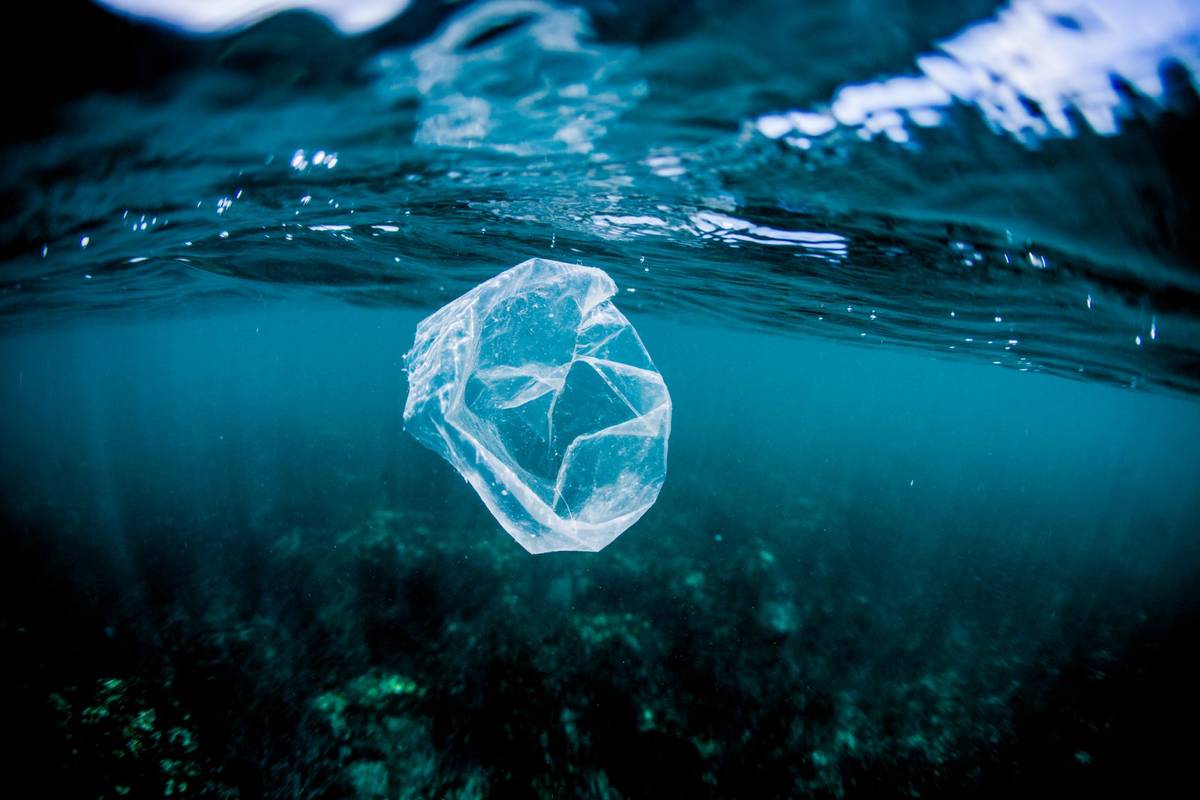 Słońce zmienia plastik w oceanach w „zupę chemikaliów”. To ogromne zagrożenie – alarmują naukowcy