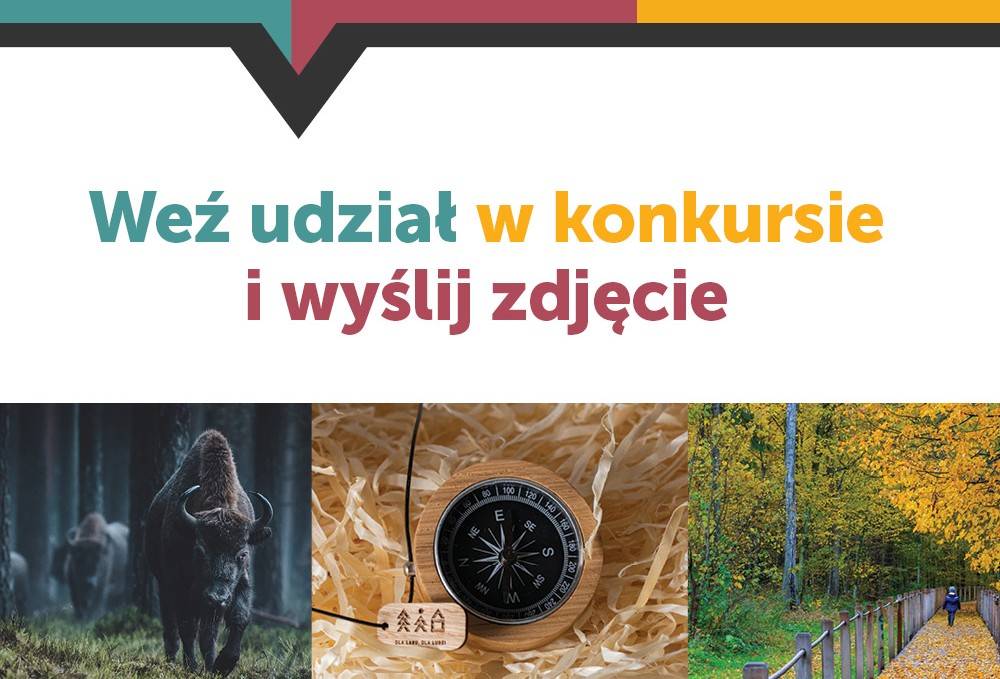 „Dla lasu, dla ludzi”. Weź udział w konkursie fotograficznym i wygraj 1000 zł!