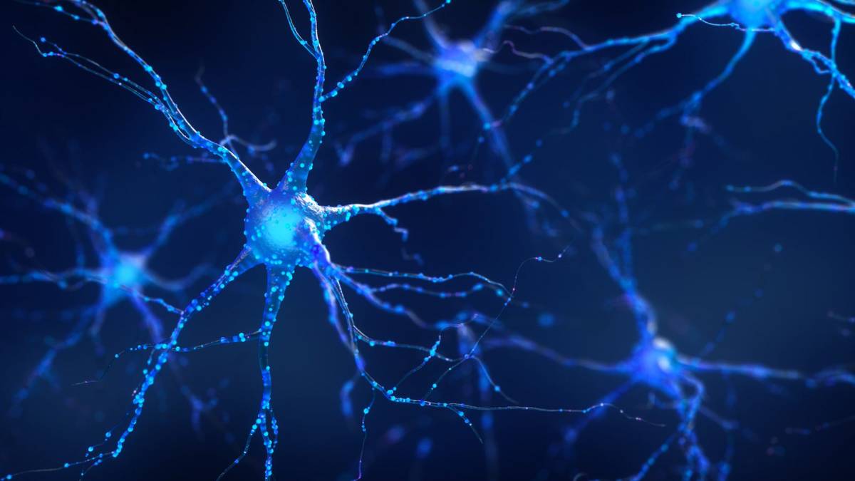 Psychodelik DMT zwiększył przyrost neuronów o 40 procent – wykazały badania na komórkach szczurów