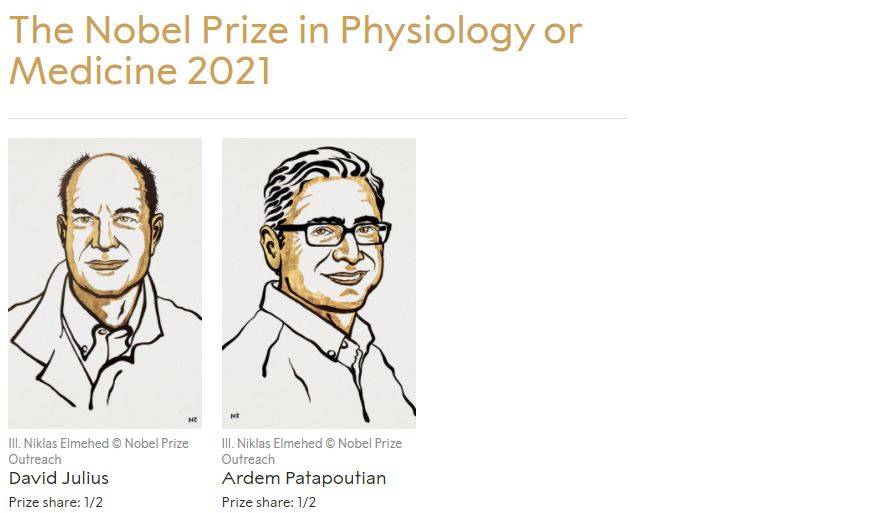 Nagroda Nobla 2021. Nobel z medycyny za odkrycie receptorów temperatury i dotyku