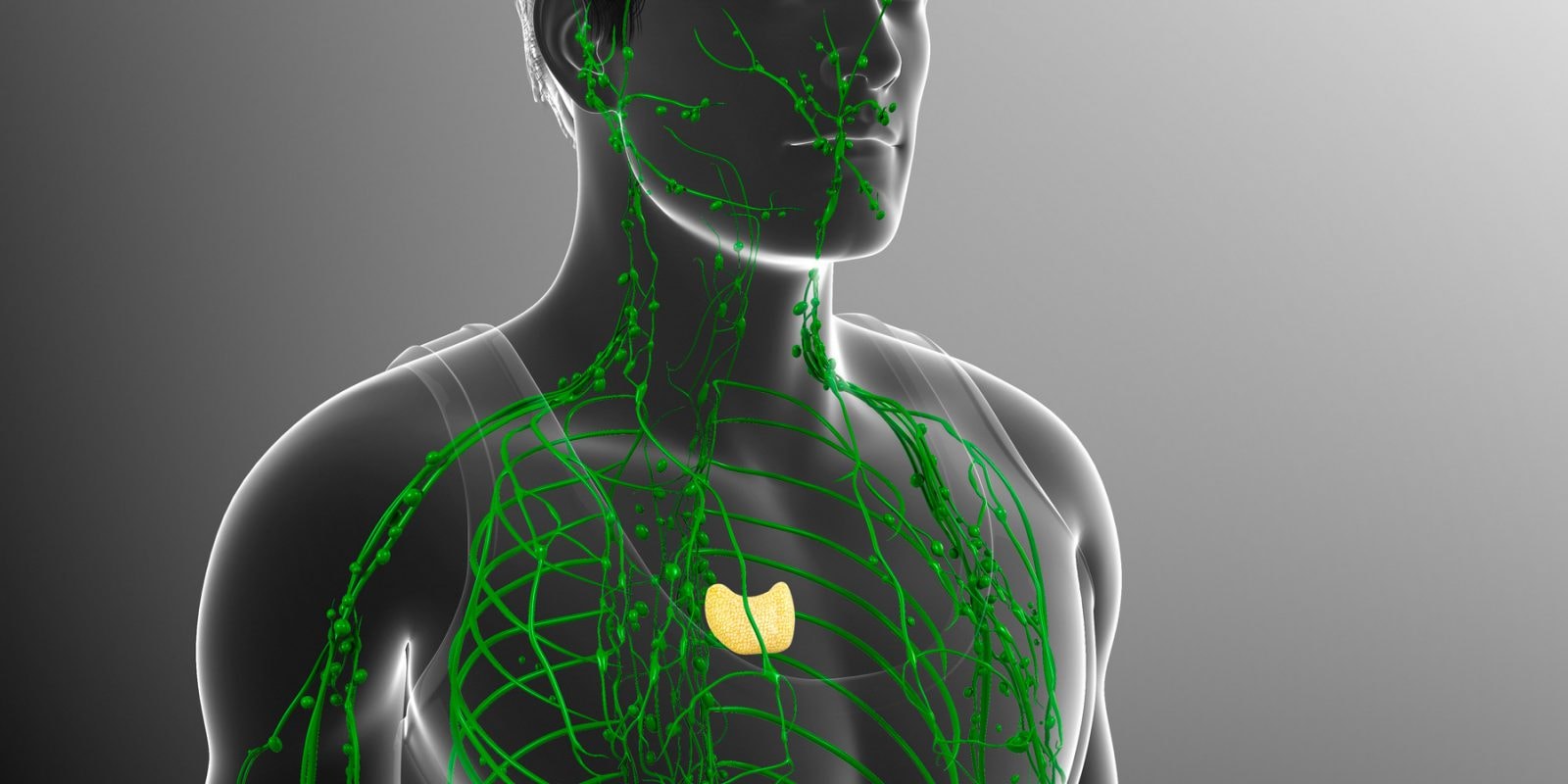 Dzieci urodzone bez grasicy czekała śmierć. Teraz można je już uratować dzięki przeszczepowi