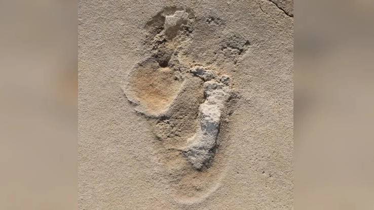 Na Krecie znaleziono najstarsze ślady stóp praludzi. Naukowcy pomylili się przy datowaniu?