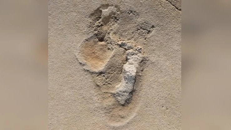 Na Krecie znaleziono najstarsze ślady stóp praludzi. Naukowcy pomylili się przy datowaniu?