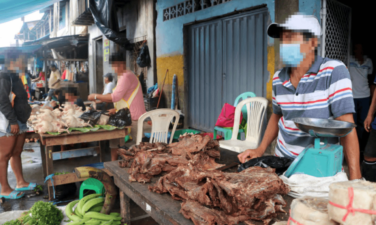 Mięso i skóry 200 gatunków dzikich zwierząt na targu w Peru. „To zagrożenie dla zdrowia!” [GALERIA]