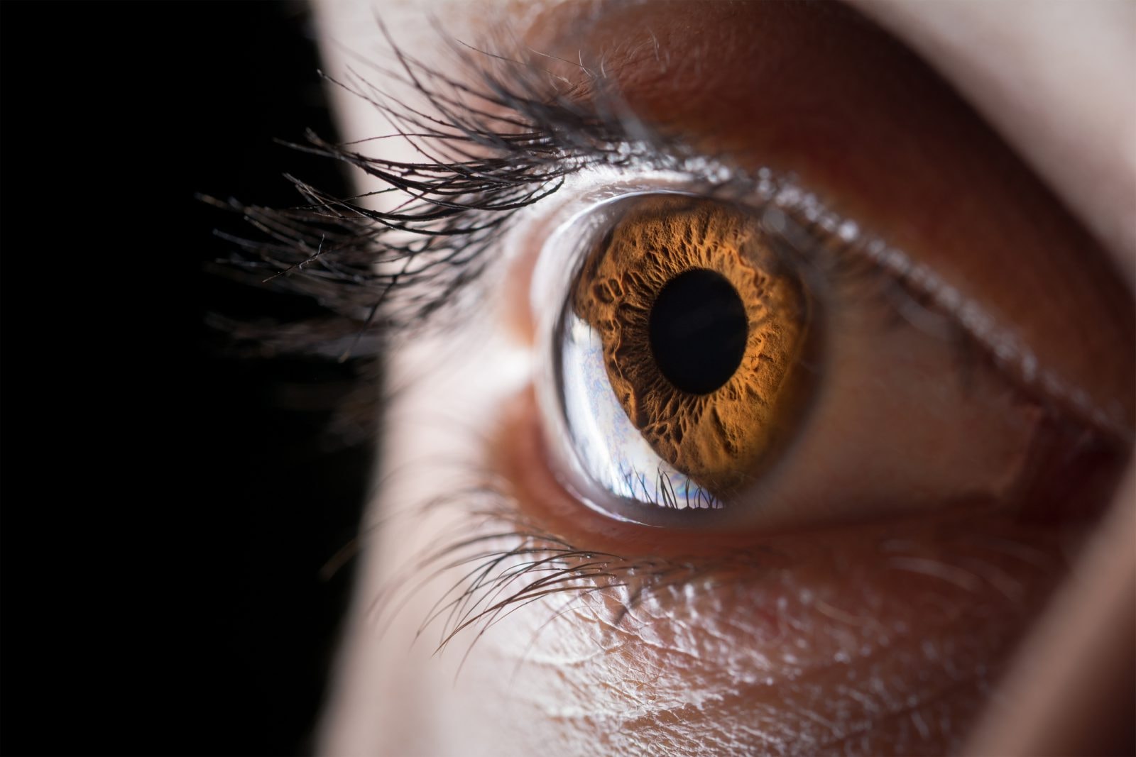 Odkryto zupełnie nową rolę źrenic. Rozszerzają się nie tylko wtedy, gdy jest ciemniej