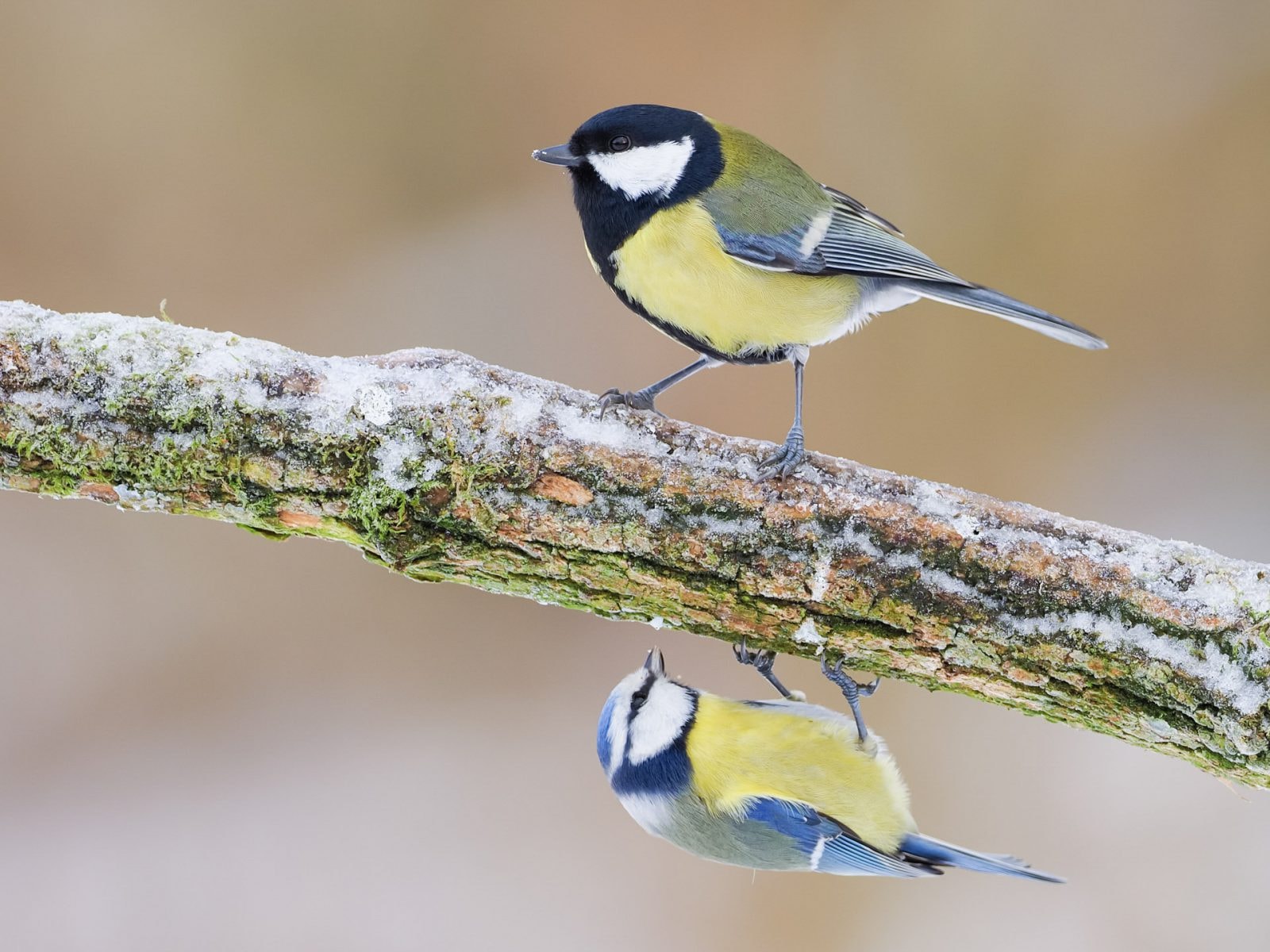 Przyroda najlepiej czuje się w lesie