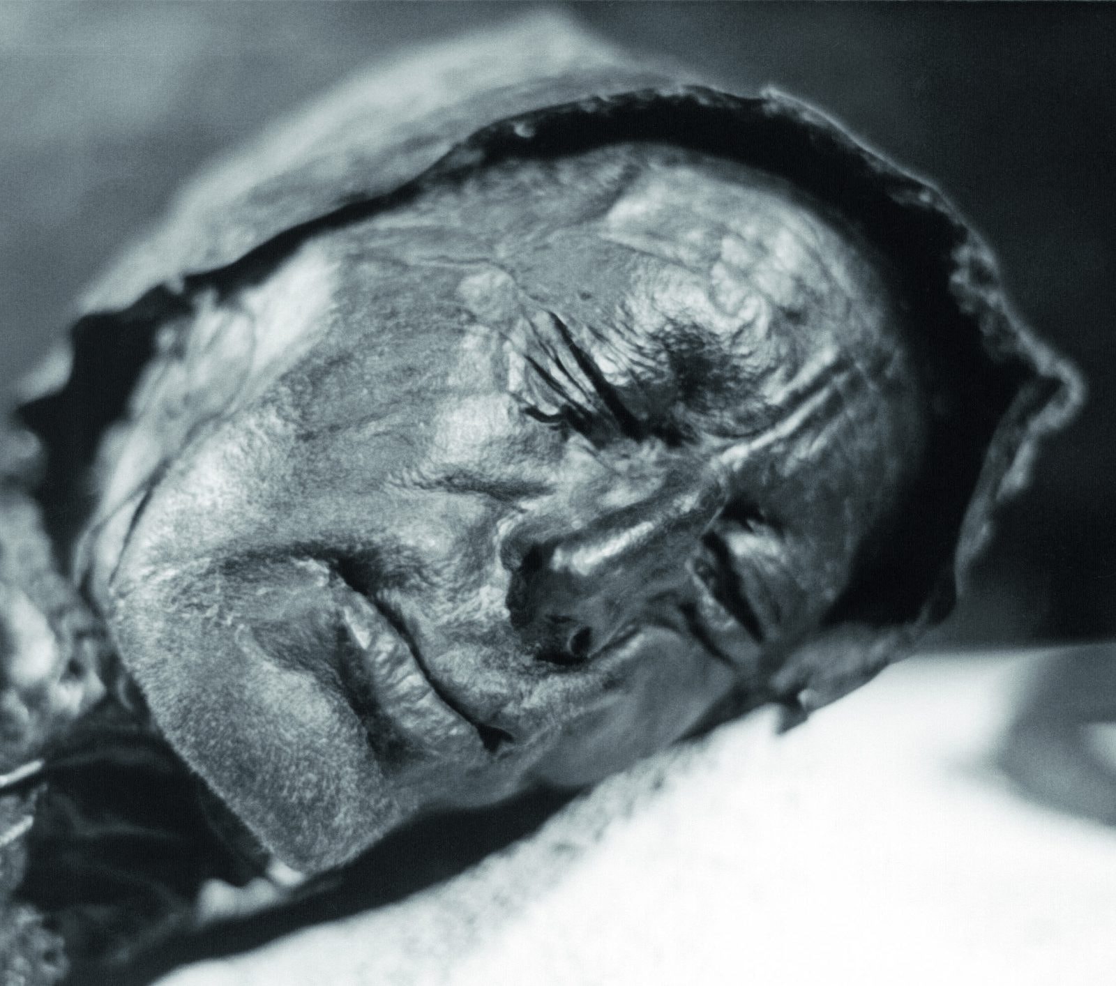 Ostatni posiłek Człowieka z Tollund. Zawartość żołądka słynnego mężczyzny z bagien pomoże ustalić przyczynę śmierci?