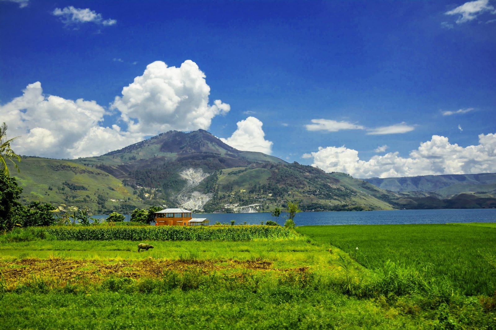 Superwulkany wybuchają bez ostrzeżenia. Tych erupcji nie da się przewidzieć – mówią naukowcy