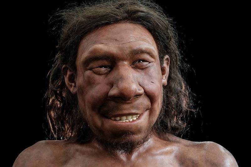 krijn-pierwszy-neandertalczyk-z-holandii-nareszcie-zyskal-twarz-fot-rijksmuseum-van-oudheden