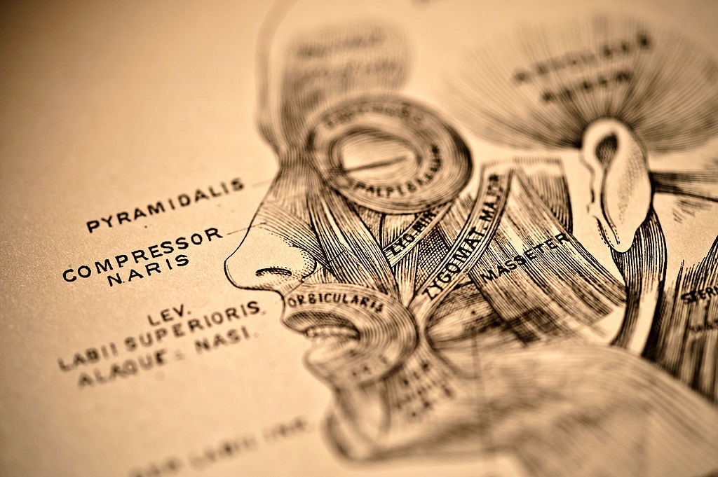 Komputer wykrywa kłamstwa, analizując mimikę. Kłamców zdradzają ruchy mięśni twarzy