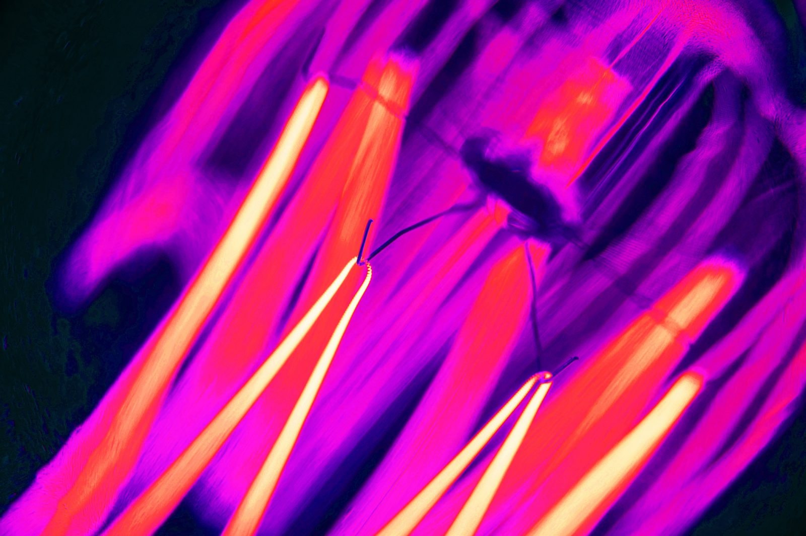 Naukowcy odkryli prosty sposób na poprawę wzroku. Polepszy go czerwone światło – ale tylko stosowane rano