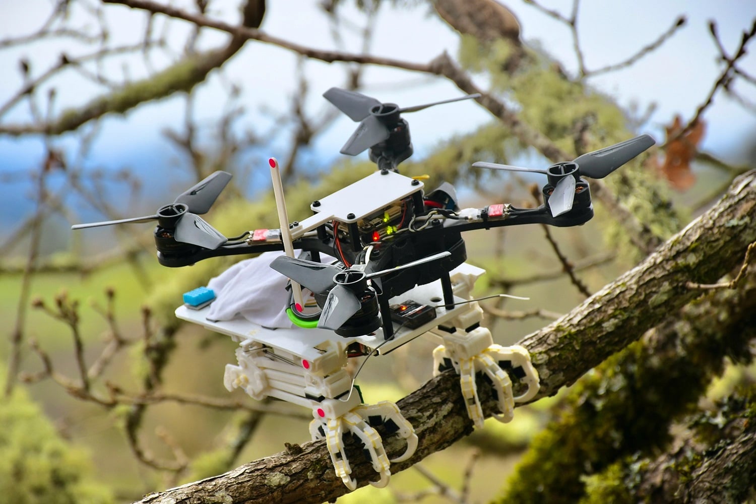 Ten robot potrafi przysiąść na gałęzi jak prawdziwy ptak. Poznajcie SNAG-a