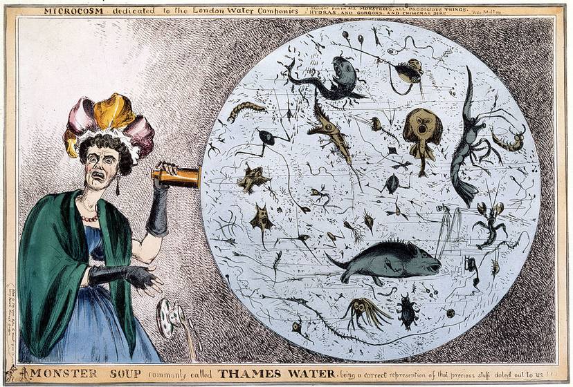 satyryczna-rycina-williama-heatha-przedstawiajaca-kobiete-odkrywajaca-jakosc-wody-w-tamizie-w-1831-i-1832-roku-miasto-doswiadczylo-pierwszych-wybuchow-cholery-zdjecie-sspl-getty-images