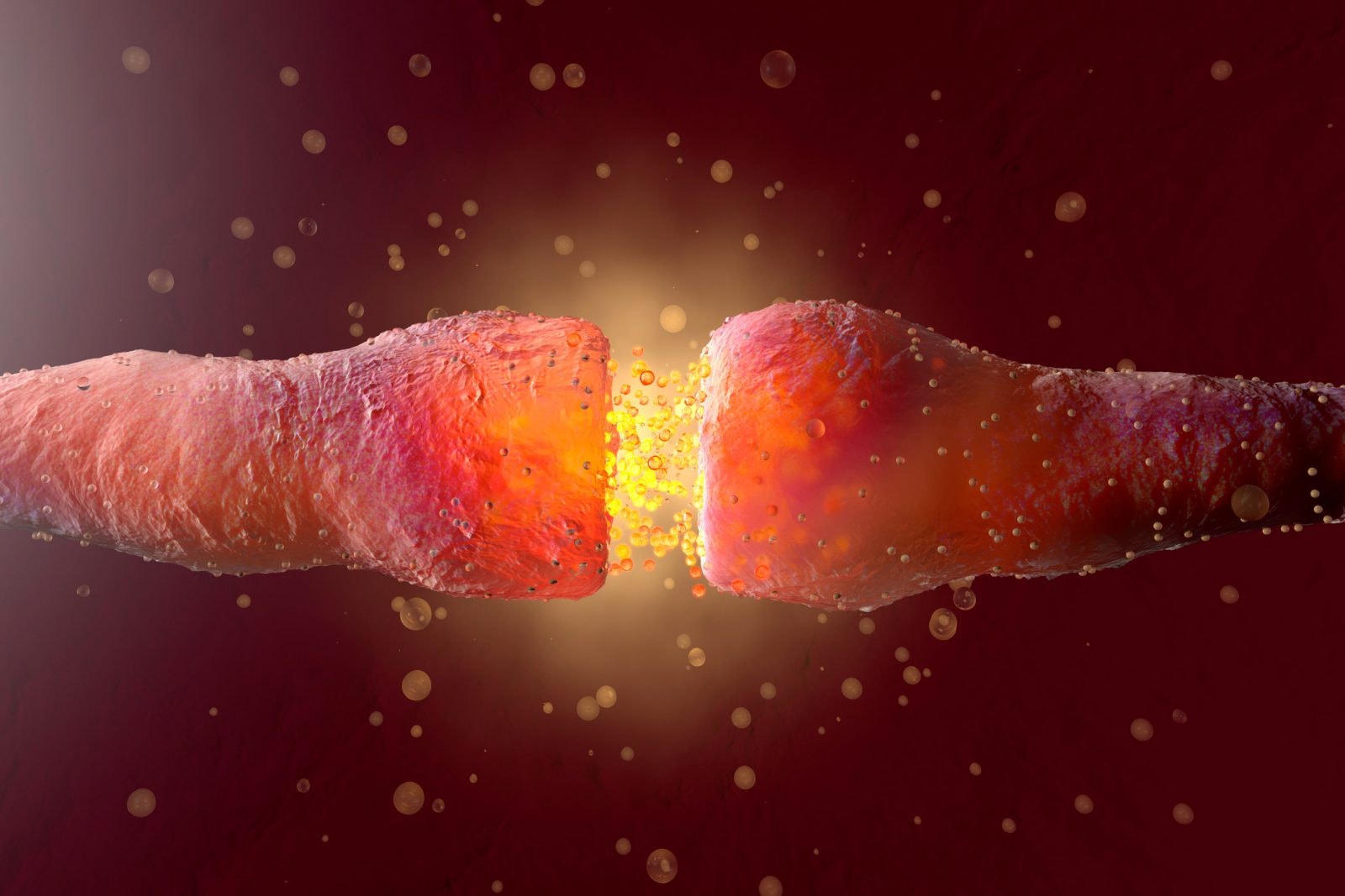 Naukowcy odkryli nowy receptor kokainy