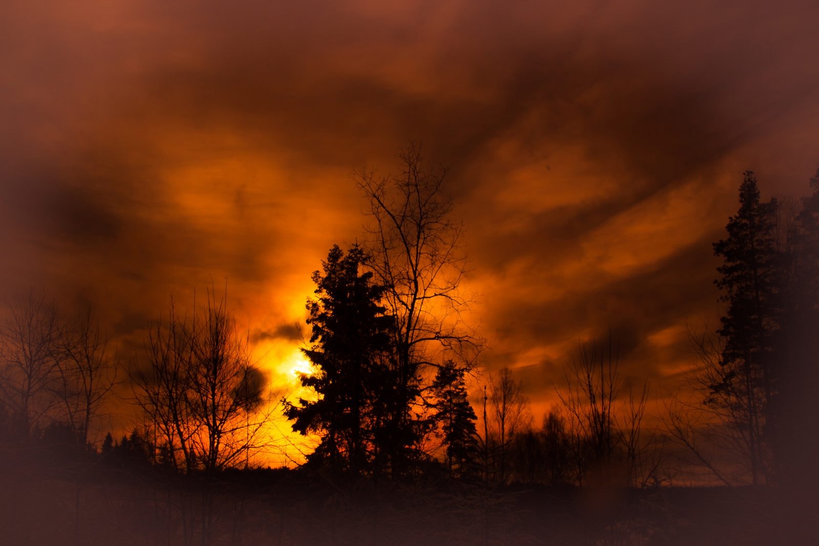 Neandertalczycy wycinali lasy już 125 tysięcy lat temu. Być może robili to i na terenie dzisiejszej Polski