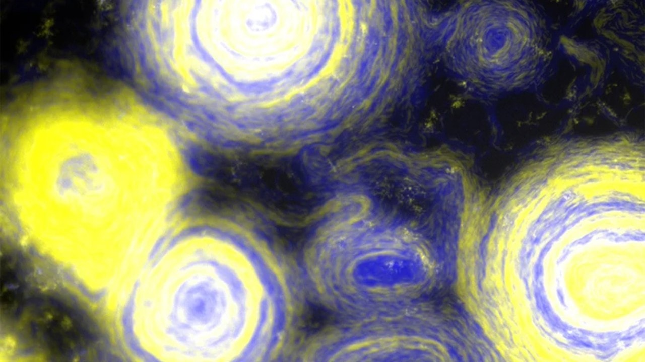 Bakterie „namalowały” obraz podobny do dzieła Van Gogha. Nieoczekiwany efekt eksperymentu