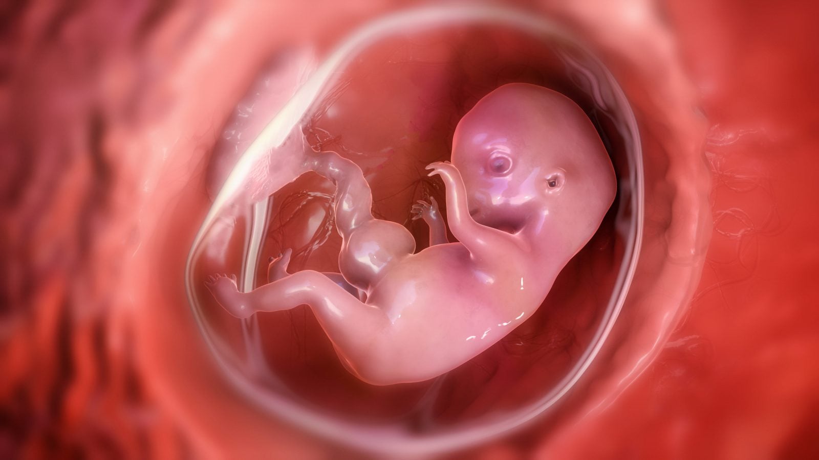 „Wojna płci” zaczyna się jeszcze w łonie matki. W łożysku walczą ze sobą geny matki i ojca