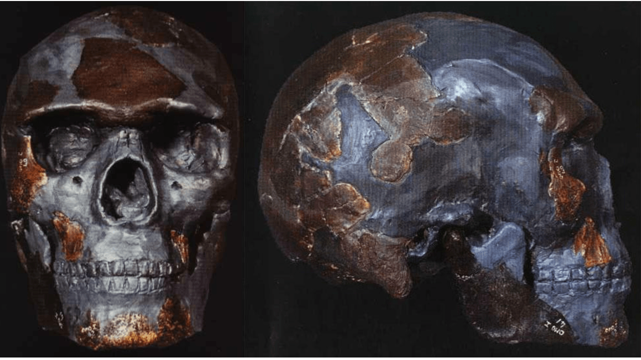 Tajemnica wieku praczłowieka Omo. Najstarszy Homo sapiens jest starszy, niż sądziliśmy?