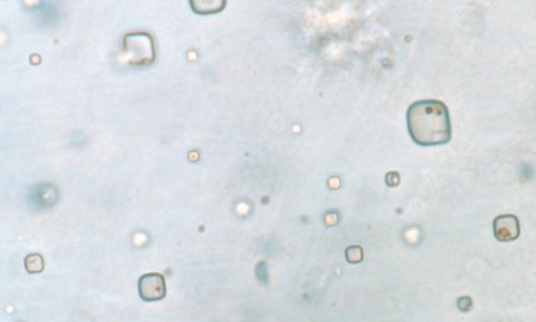 Kim byli rdzenni mieszkańcy Urugwaju? Analiza ich DNA dostarcza odpowiedzi