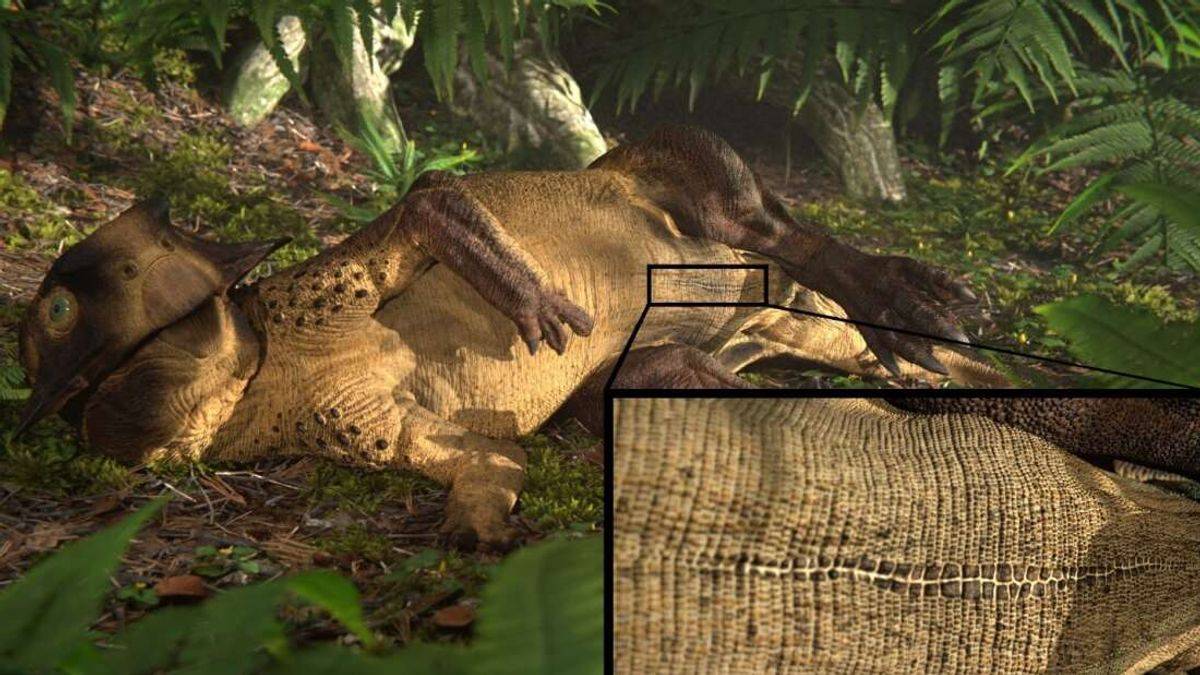 Dinozaury miały pępki &#8211; naukowcy znaleźli na to dowód /Fot. Jagged Fang Designs, via Michael Pittman
