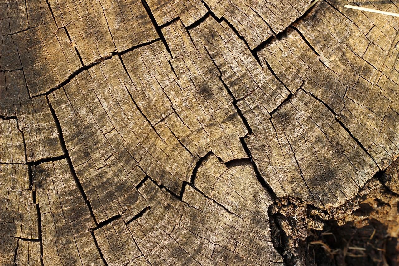 Fizyka codzienności. Co naprawdę czujemy dotykając różnych materiałów?