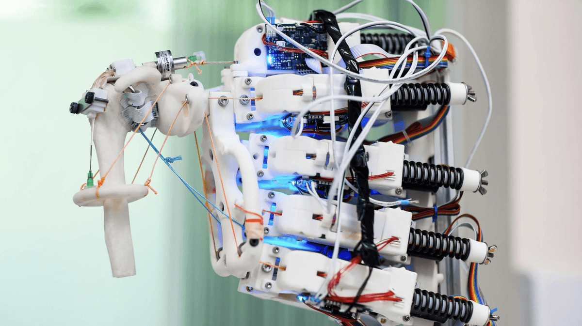 Humanoidalny robot wyhoduje nam &#8220;nowe&#8221; ścięgna /Fot. Fisher Studios

