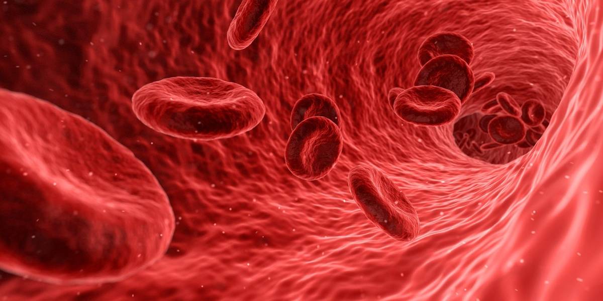 Nowy sposób stymulowania komórek krwiotwórczych /Fot. Pixabay
