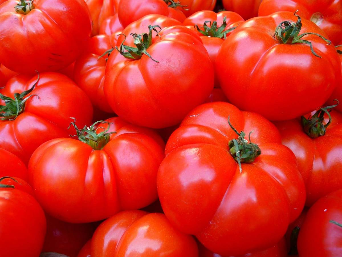Czy kiedyś zabraknie pomidorów? /Fot. Pixabay
