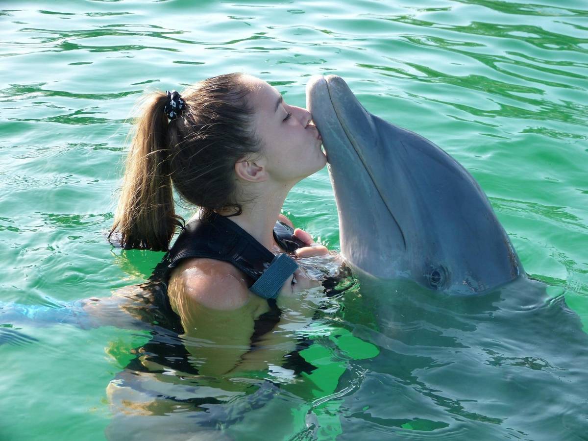 Aż trudno uwierzyć w to, jak rozpoznają się delfiny