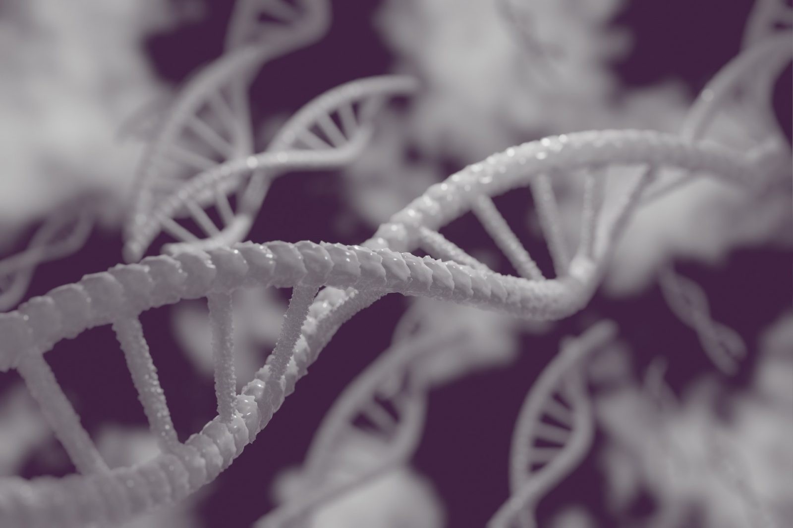 Stworzono najdokładniejszą w historii mapę DNA /Fot. Pixabay
