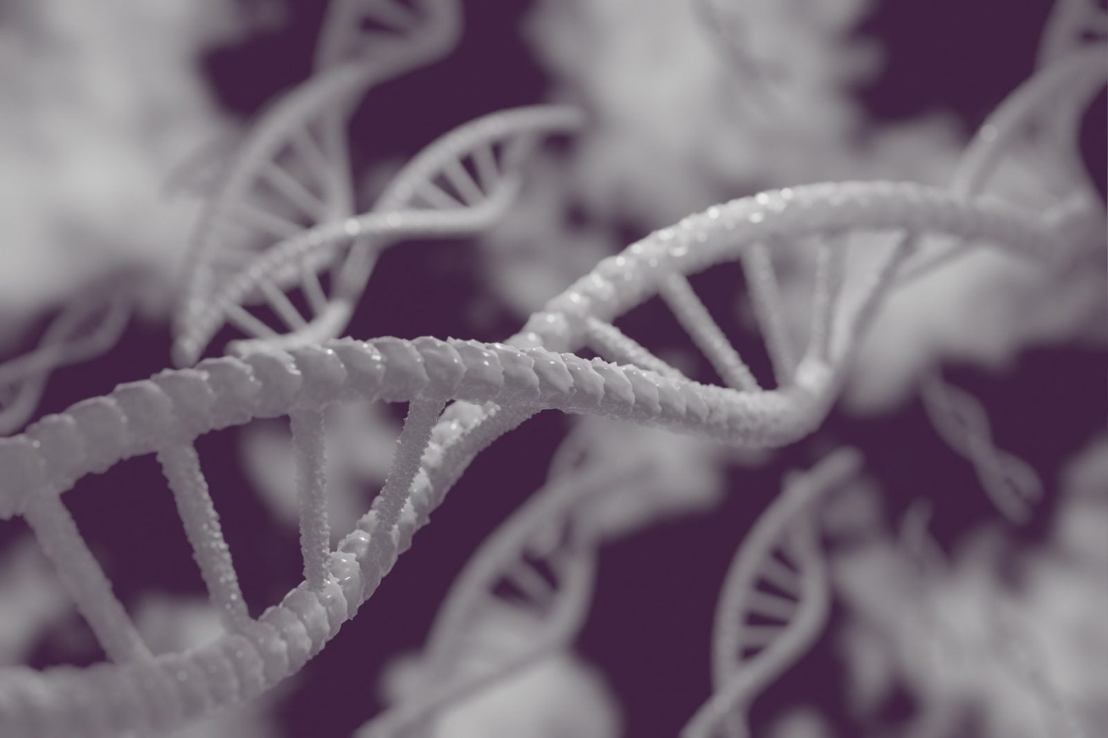 Profilowanie DNA to popularna technika umożliwiająca chwytanie przestępców. Jak działa?