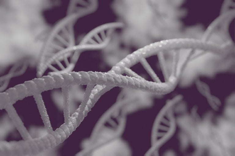 Profilowanie DNA to popularna technika umożliwiająca chwytanie przestępców. Jak działa?