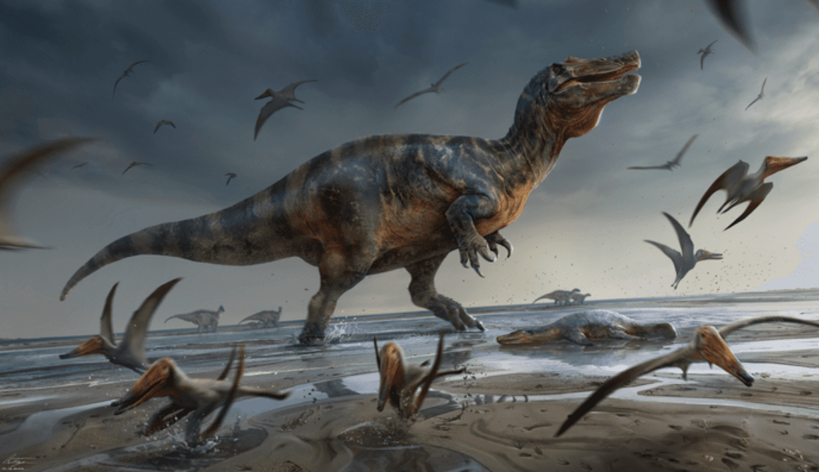 Tak mógł wyglądać spinozaur z Białej Skały /Fot. Uniwersytet w Southampton
